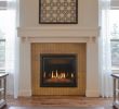 Fireplace Specialties Awesome Make Kozy Heat Model Carlton 46 Type Gas Fireplace