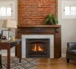 Fireplace Specialties Inspirational Make Kozy Heat Model Carlton 46 Type Gas Fireplace