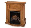 Fireplace Stain Inspirational Elektrokamin Glen Dimplex Palermo Oak