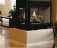 Fireplaces Direct Best Of Superior Drt35st Direct Vent See Through Gas Fireplace