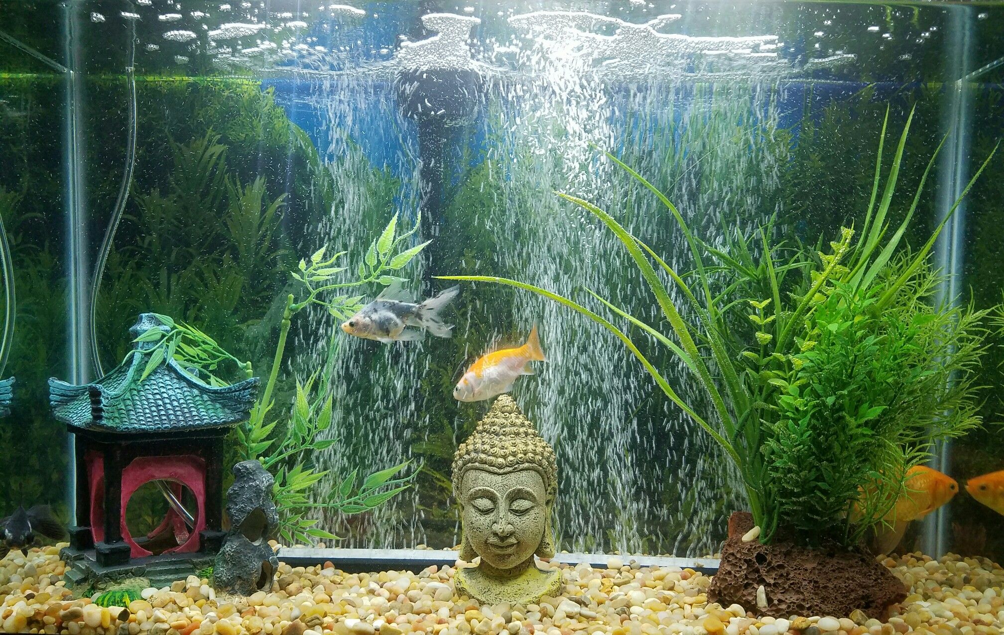 Fish Tank Fireplace Luxury ð  Buddha Fish Tank ð¡