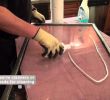 Gas Fireplace Glass Cleaner Elegant How to Clean Fireplace Glass Video