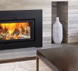 Gas Fireplace Glass Doors Open or Closed Elegant Wood Inserts Epa Certified