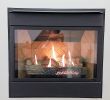 Gas Fireplace Parts Home Depot Elegant Best Replace Gas Fireplace with Electric Freshomedaily