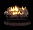 Hearthside Fireplace and Patio New Pro 24 In Ventless Liquid Propane Gas Log Set with