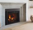 Heat N Glo Fireplace Flame Adjustment Luxury Escape Gas Firebrick Inserts