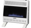 Heaters that Look Like Fireplaces Beautiful Reddy Heater 30 000 Btu Blue Flame Dual Fuel Wall Heater with Blower