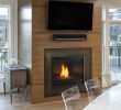 Heatnglo Fireplaces Best Of Unique Fireplace Idea Gallery