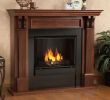 Indoor Gel Fireplace New Real Flame Gel Fireplace Charming Fireplace