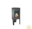 Jotul Gas Fireplace Inspirational Kaminofen Jotul F162 5kw