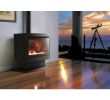 Lopi Fireplace New 28 [ Free Standing Gas Log Fireplace ]