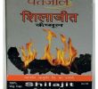 Mini Electric Fireplace Elegant Patanjali Shilajit Gold Capsules Capsule 5 Gm