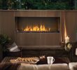 Napoleon Linear Gas Fireplace Best Of the Galaxy Outdoor Gas Fireplace by Napoleon