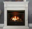 Natural Gas Fireplace Heater Elegant Fireplace Results Home & Outdoor