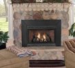 Procom Gas Fireplace Fresh Fireplace Inserts Installation