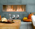 Rectangular Gas Fireplace Fresh Spark Modern Fires