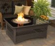 Rectangular Gas Fireplace Unique Shop Outdoor Greatroom Pany Naples 48 In W 60 000 Btu