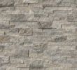 Stone Facade Fireplace New From Msi Stone Have Sample Primarily Gray with some Beige