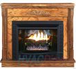 Wood Burning Fireplace with Gas Starter Beautiful Buck Stove Model 34zc Vent Free Gas Fireplace