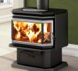 Wood for Fireplace Elegant Osburn 2200 Metallic Black Epa Wood Stove Ob In 2019