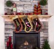 Fireplace Reflectors Fresh Fireplace Stockings Christmas Backdrop 7690